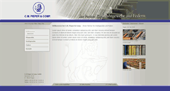 Desktop Screenshot of cmpieper.de